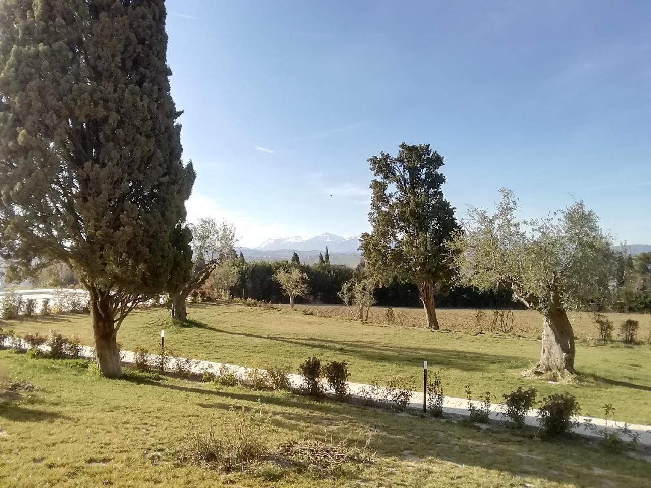 Il Roccolo Di Valcerasa Διαμέρισμα Treia Εξωτερικό φωτογραφία